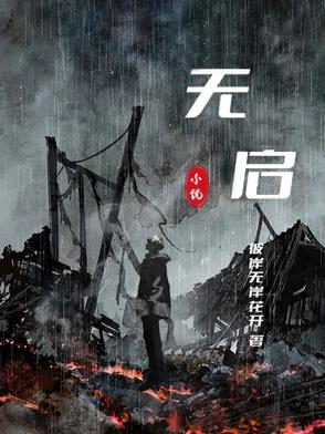无启停车型专用电池